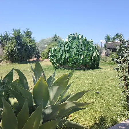 L&m * Floridia